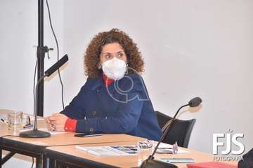 Pleno ordinario de diciembre de 2020/Francisco Javier Santana.